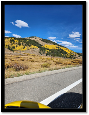 A road with yellow flowers on a hill

Description automatically generated