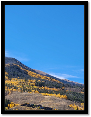 A mountain with yellow trees and blue sky

Description automatically generated