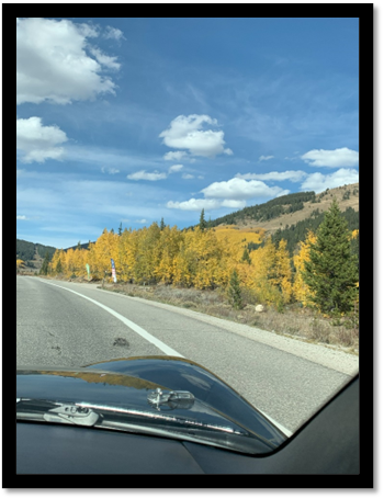 A road with trees and mountains in the background

Description automatically generated