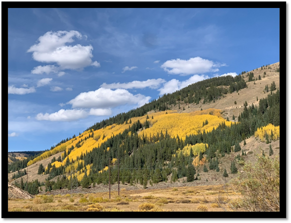 A mountain with yellow trees and blue sky

Description automatically generated