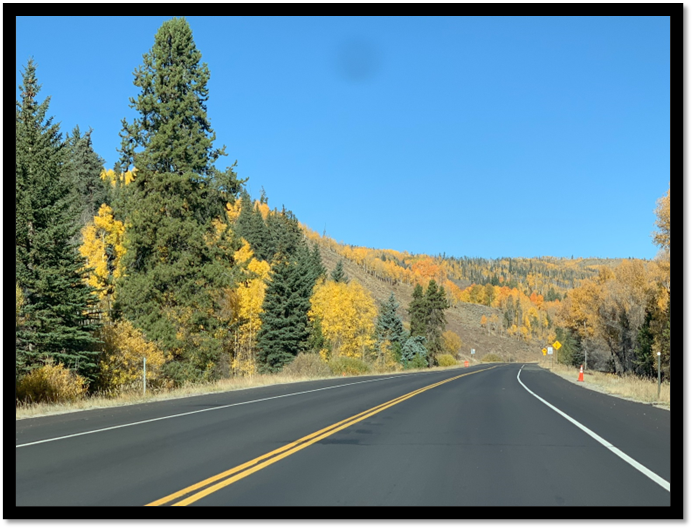 A road with trees in the background

Description automatically generated