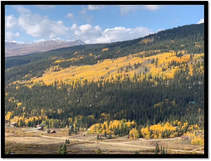 A mountain with yellow trees and a house

Description automatically generated