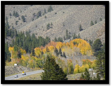 A car driving on a road with trees in the background

Description automatically generated