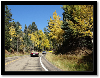 Cars on a road with trees

Description automatically generated