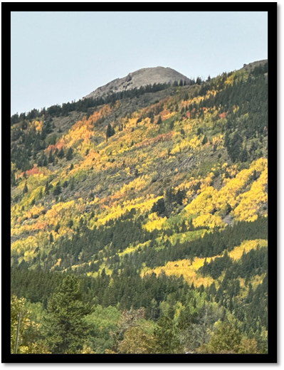 A mountain with trees and a hill

AI-generated content may be incorrect.