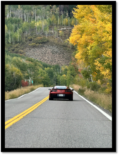 A red car on a road with trees in the background

AI-generated content may be incorrect.