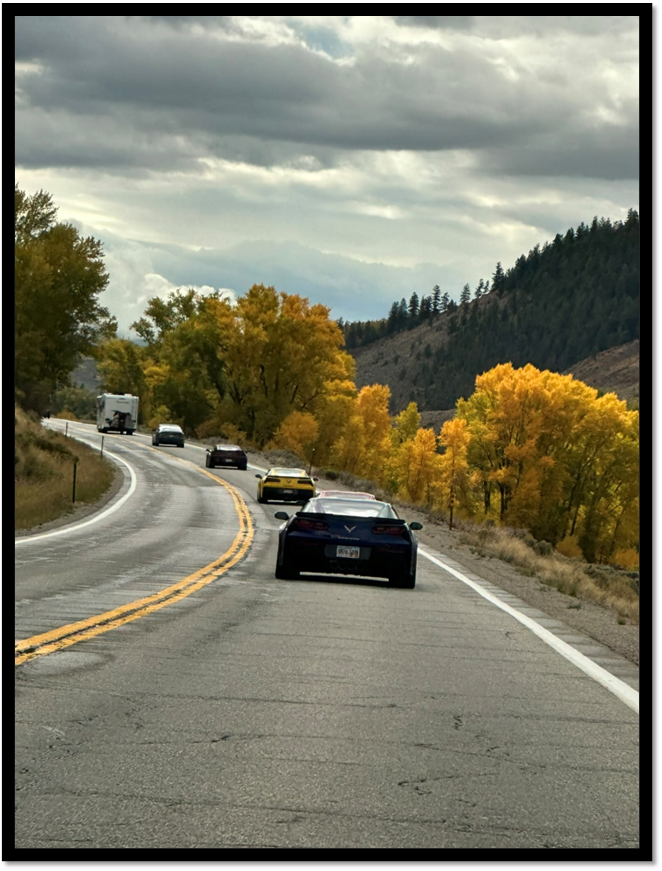 Cars on a road with trees and mountains

AI-generated content may be incorrect.