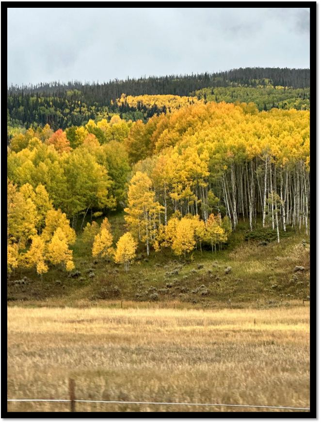 A field with trees and mountains in the background

AI-generated content may be incorrect.