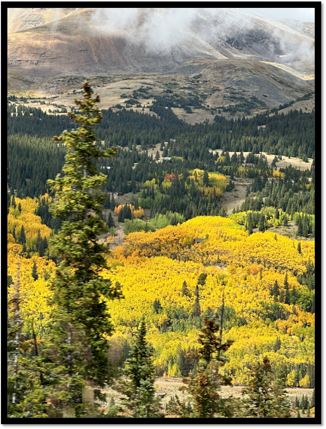A mountain range with trees and mountains in the background

AI-generated content may be incorrect.