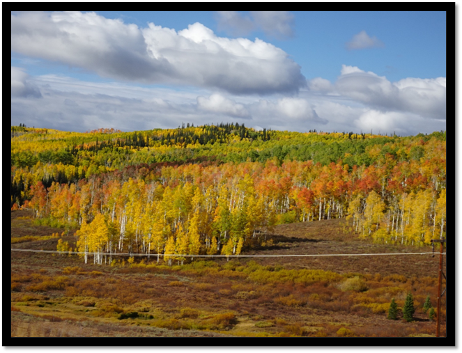 A landscape with trees and grass

AI-generated content may be incorrect.