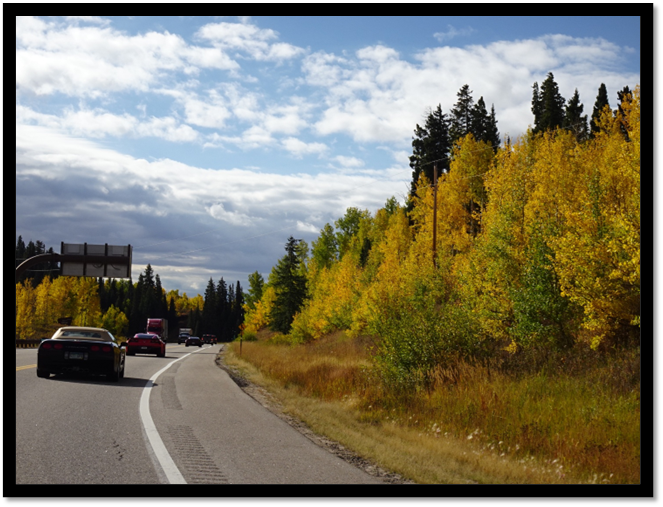 Cars driving on a road

AI-generated content may be incorrect.