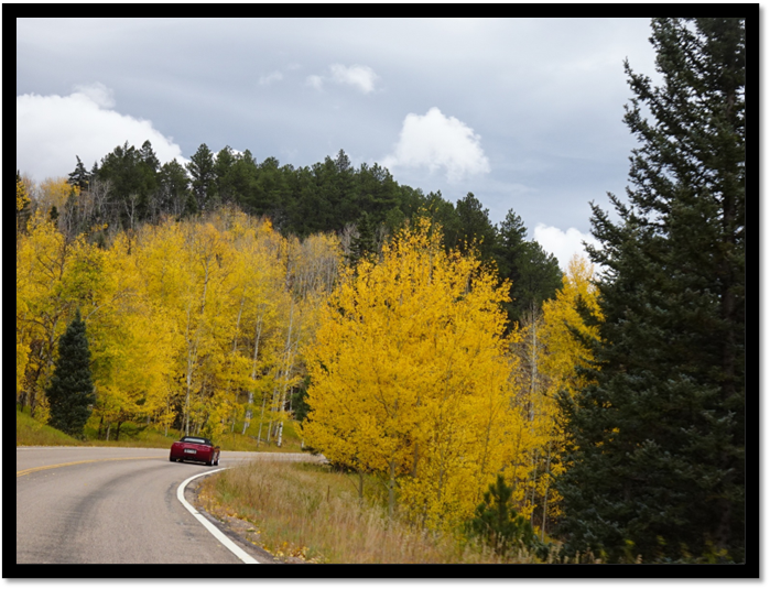 A car driving on a road with trees and grass

AI-generated content may be incorrect.