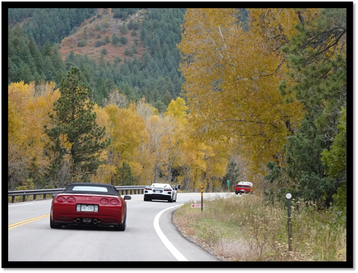 Cars on the road with trees in the background

AI-generated content may be incorrect.