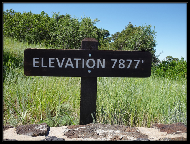 A sign in a grassy field

Description automatically generated