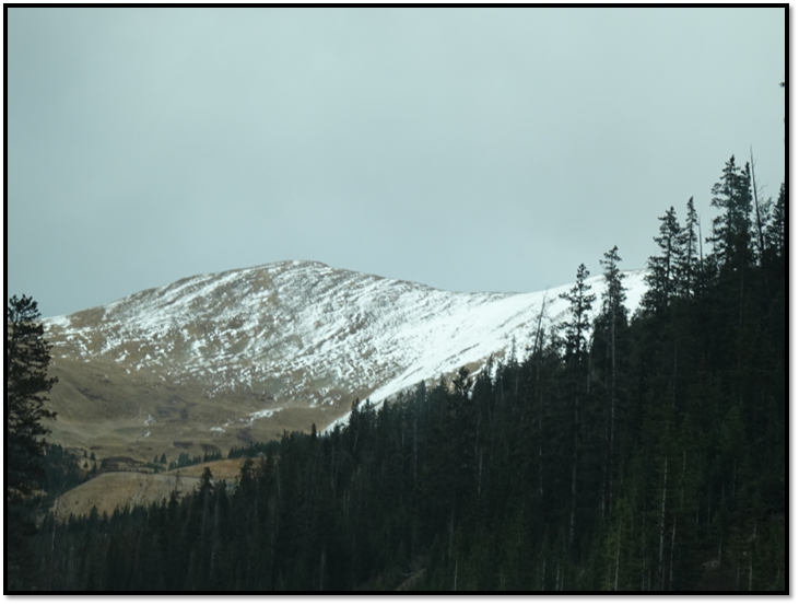 A snowy mountain with trees

Description automatically generated with low confidence