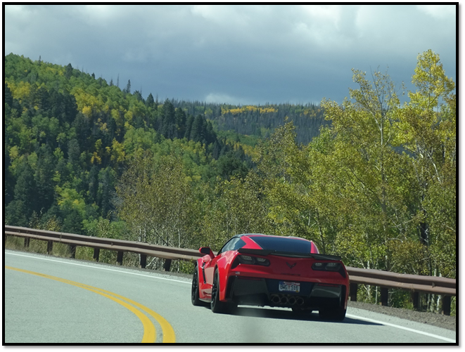 A red sports car driving on a road with trees on either side

Description automatically generated with medium confidence