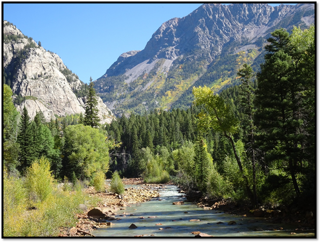 A river running through a forest

Description automatically generated with low confidence