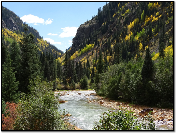 A river running through a forest

Description automatically generated with medium confidence