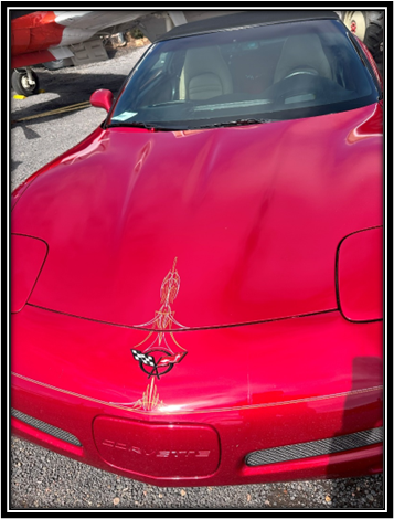 A red car with a spider on the hood

Description automatically generated with low confidence